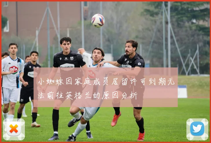 小蜘蛛因家庭成员居留许可到期无法前往英格兰的原因分析